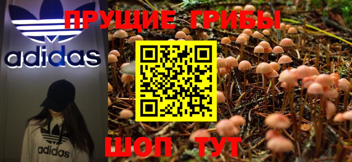 Галлюциногенные грибы GOLDEN TEACHER  Вход с VPN  Лениногорск 
